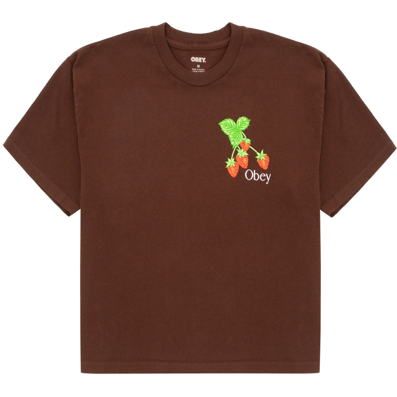 Obey Womens Strawberry Bunch Tee Java Brown - Parasol Store