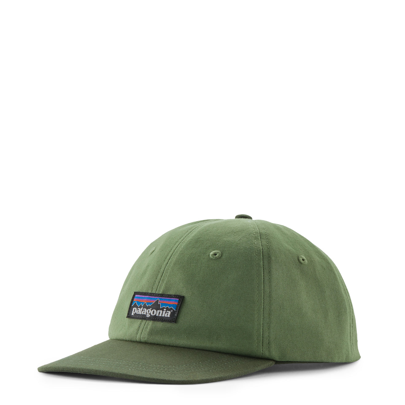 Patagonia P-6 Label Trad Cap Terrain Green - Parasol Store