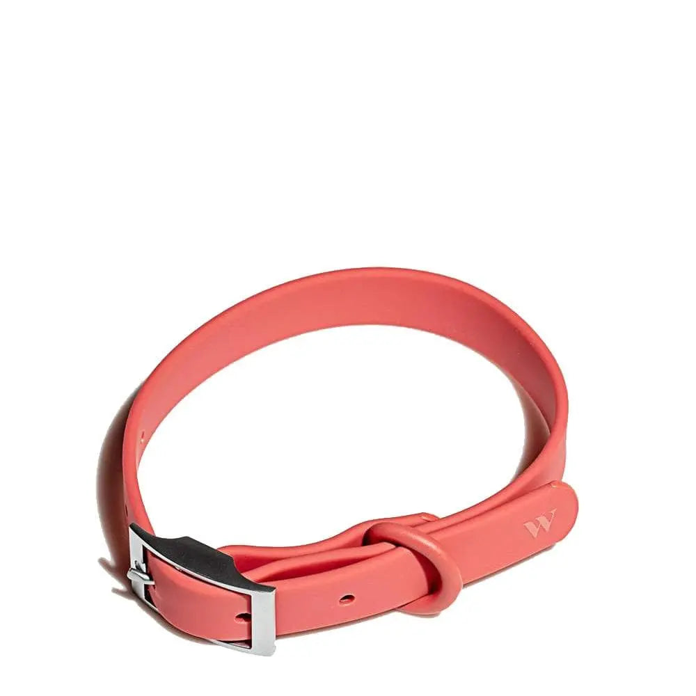 Wild One Dog Collar Red Wild One