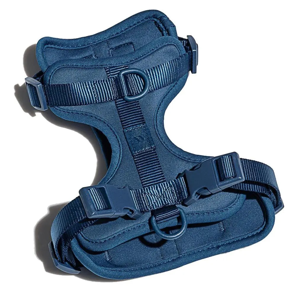 Wild One Dog Harness 2.0 Blue Wild One